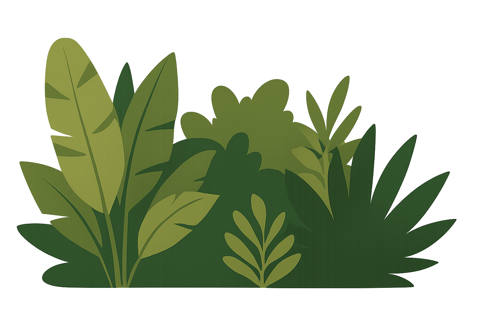 Plants