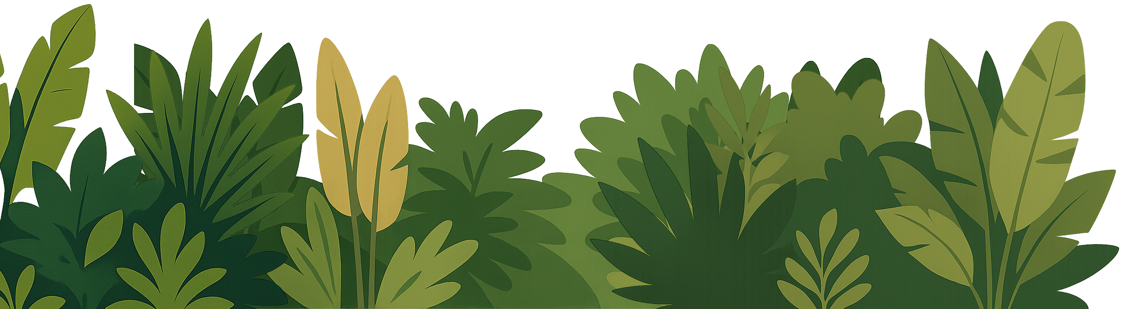 Plants